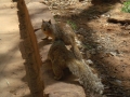 22avr_13.49 - Zion National Park.jpg